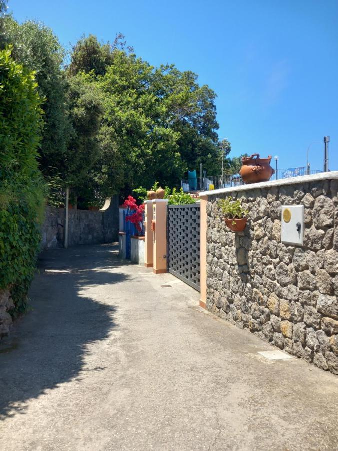 Villetta Panoramica Forio di Ischia Exteriér fotografie