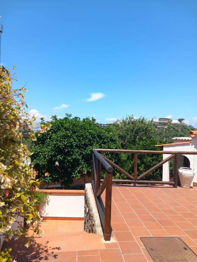 Villetta Panoramica Forio di Ischia Exteriér fotografie