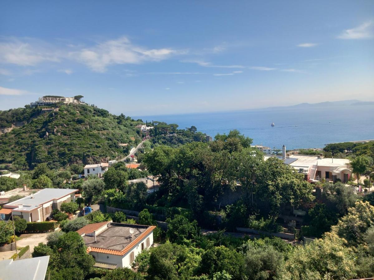 Villetta Panoramica Forio di Ischia Exteriér fotografie